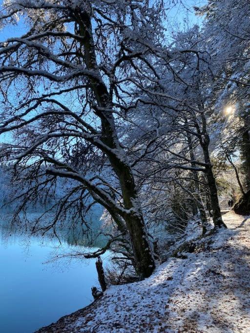 Bellevue Sur Les Hauteurs De Super-besse